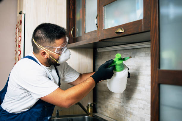Best Pest Removal Services  in Harrison, OH