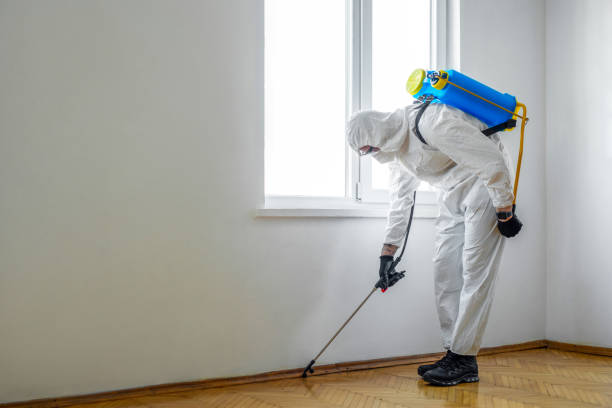 Best Affordable Pest Control Services  in Harrison, OH