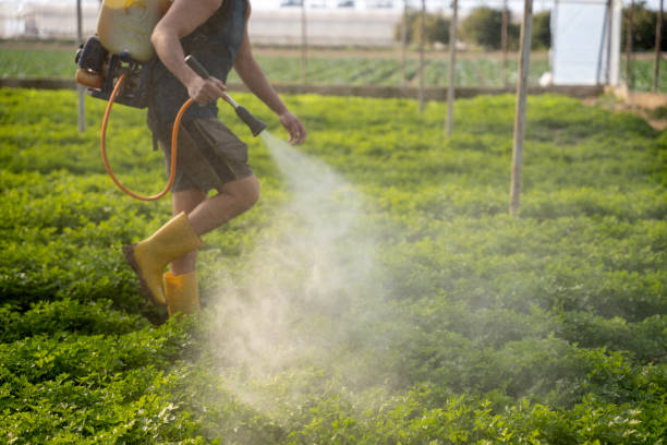 Best Commercial Pest Control Services  in Harrison, OH
