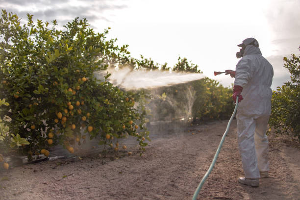 Professional Pest Control in Harrison, OH
