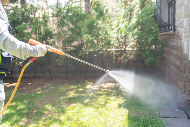 Best Spider Control Near Me  in Harrison, OH