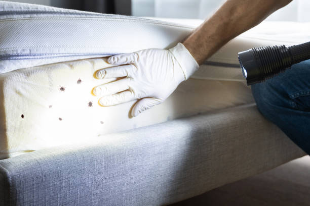 Best Pest Inspection Near Me  in Harrison, OH
