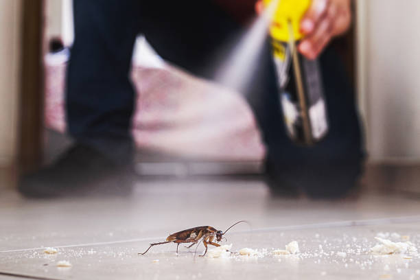 Best Local Pest Control Services  in Harrison, OH