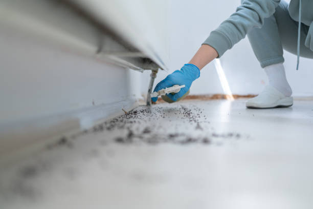 Best Flea Control Services  in Harrison, OH